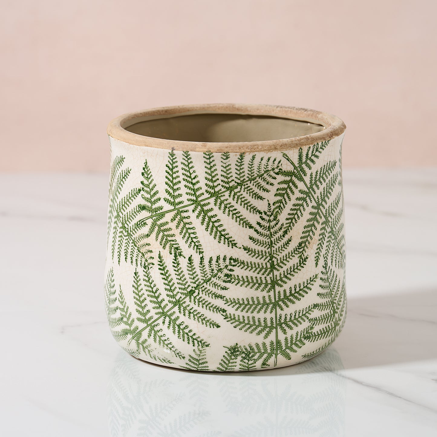 Large fern planter