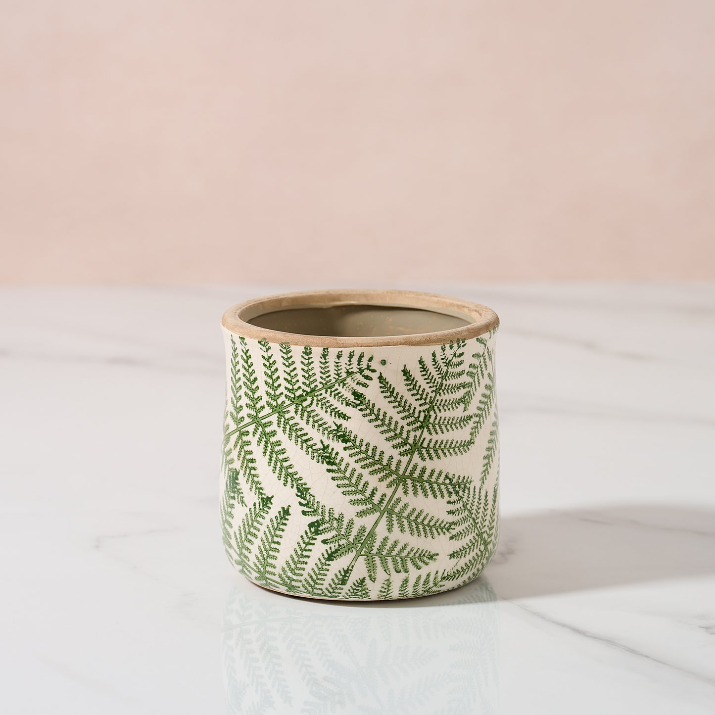 Small fern planter