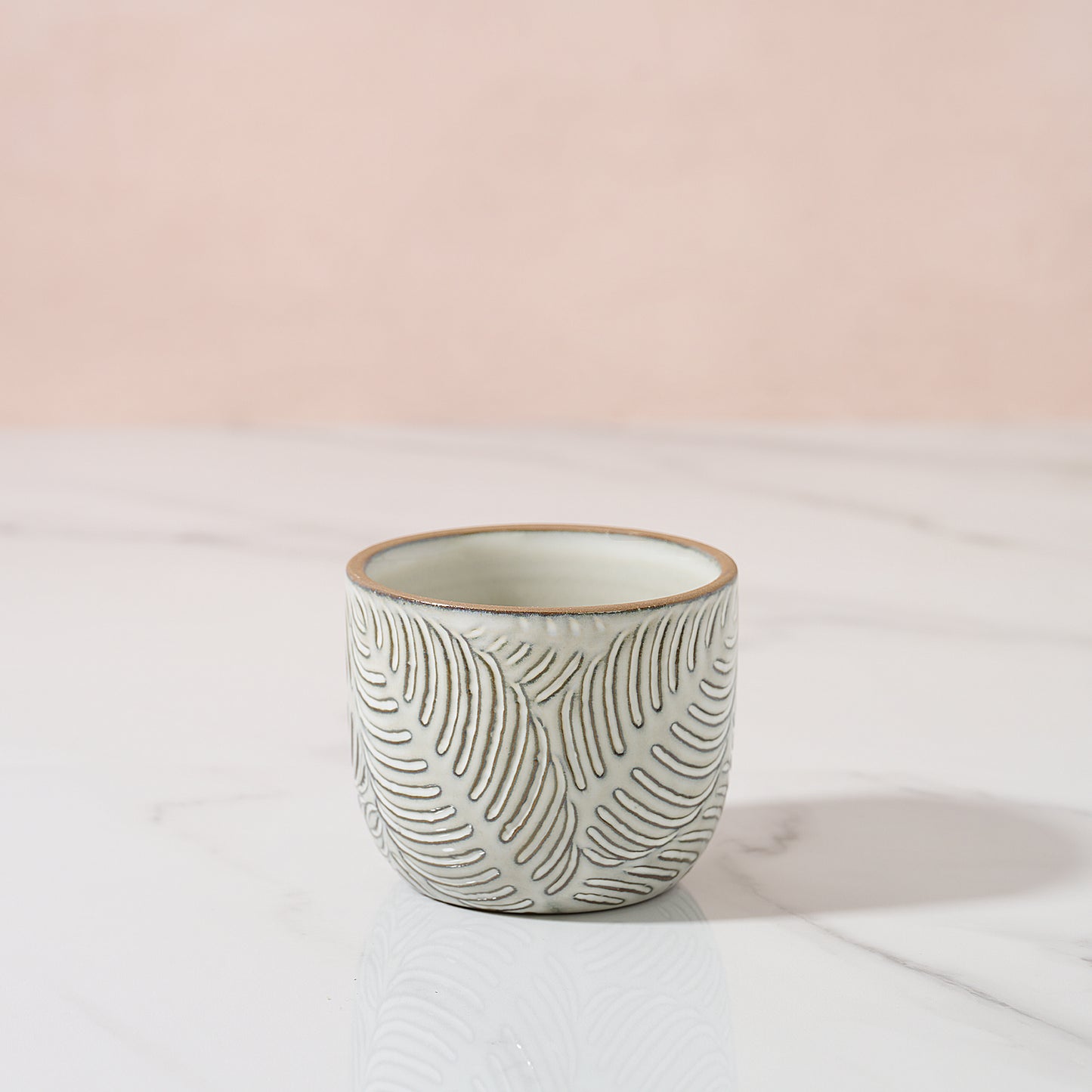 Rustic ceramic plant pot