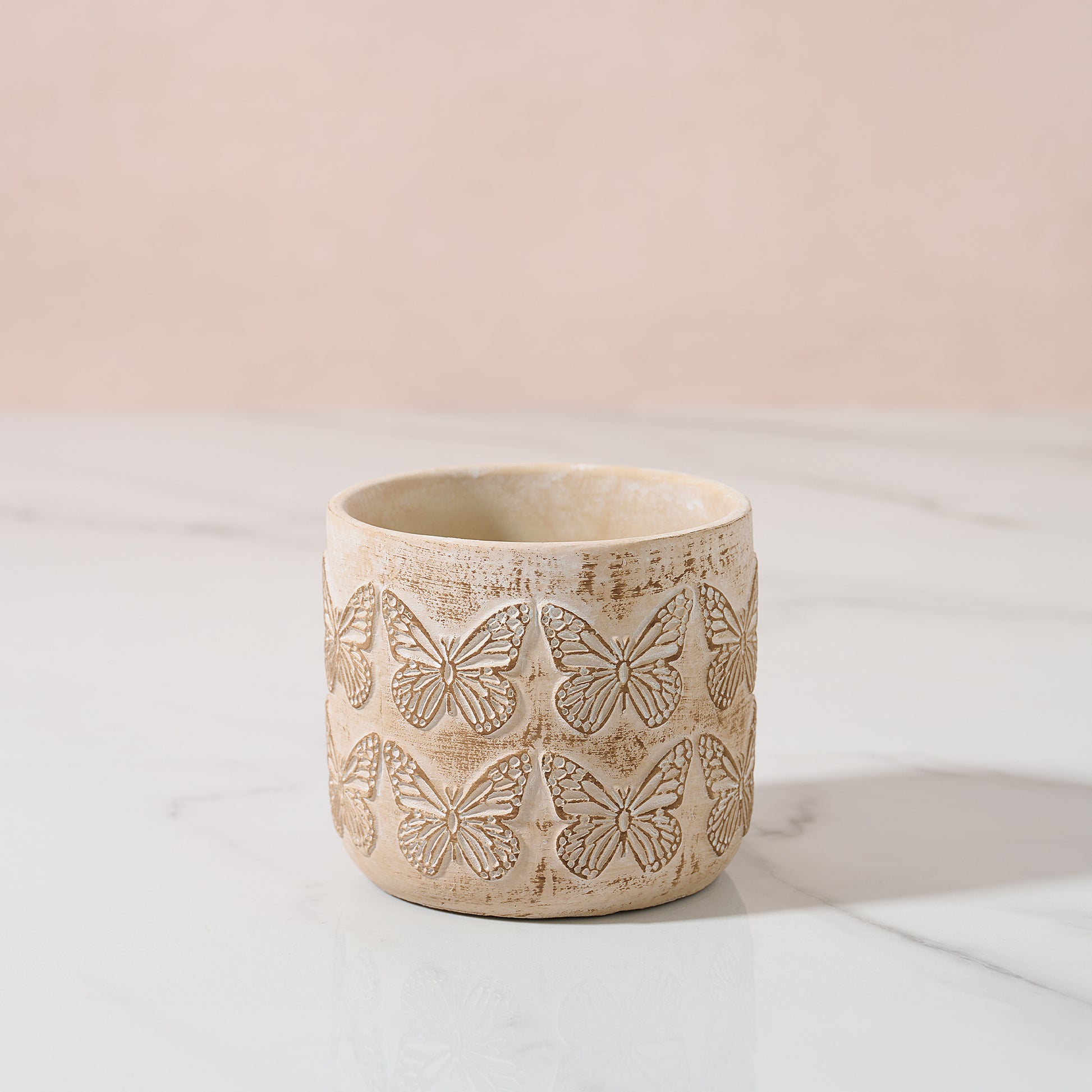 Butterfly plant pot