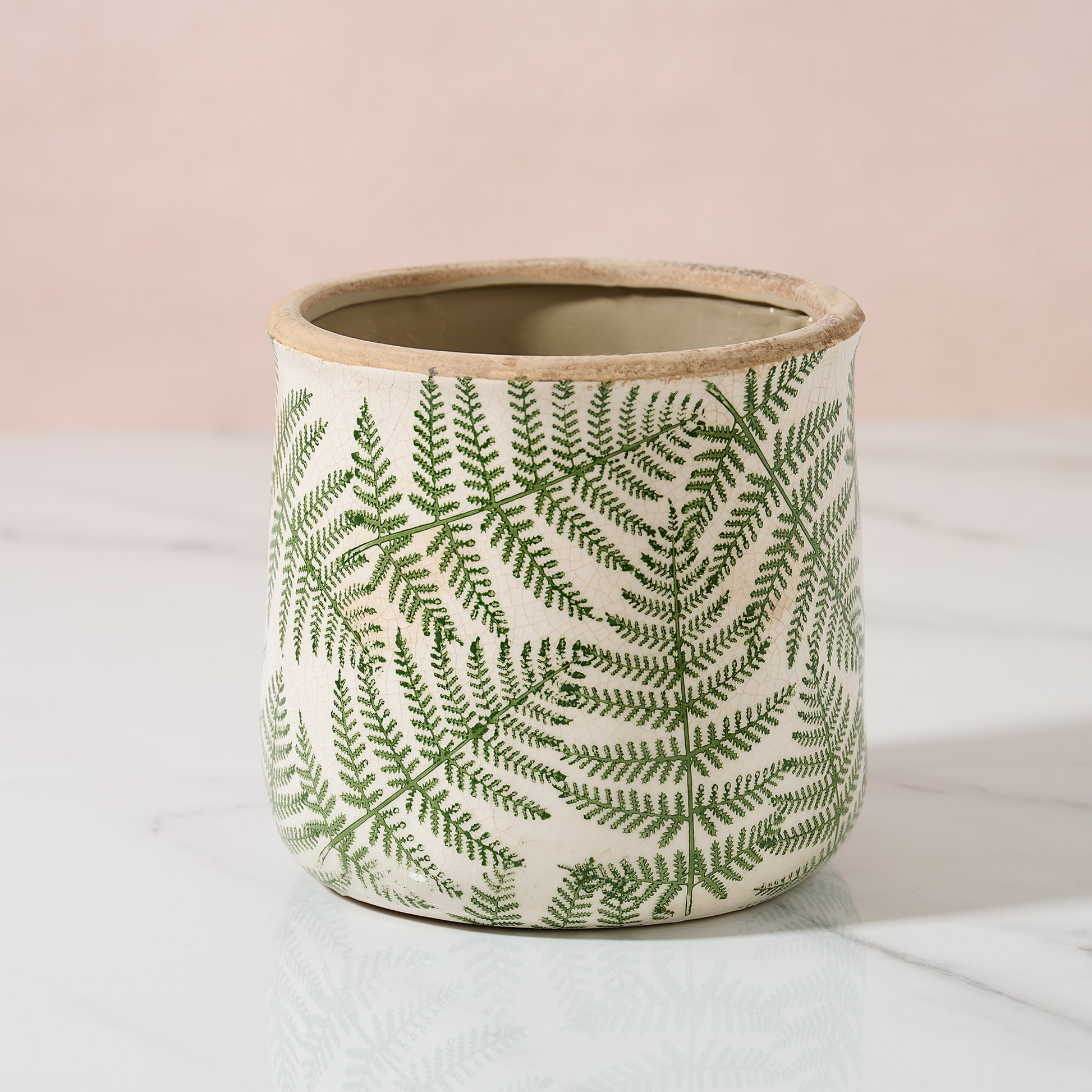 Large fern planter