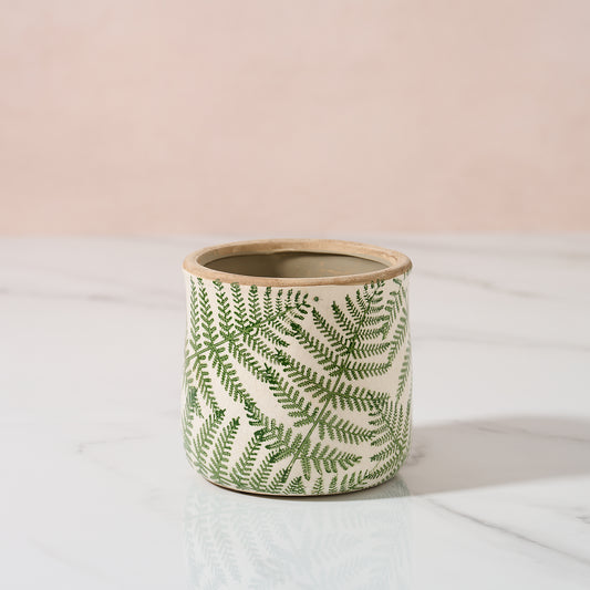Small fern planter